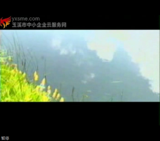video_img