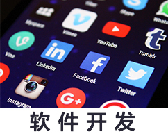软件开发