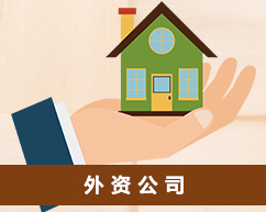 外资公司
