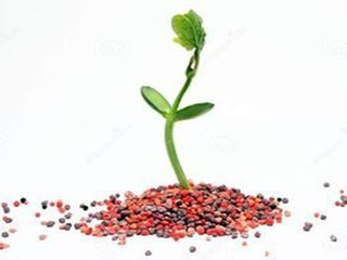 企业简介