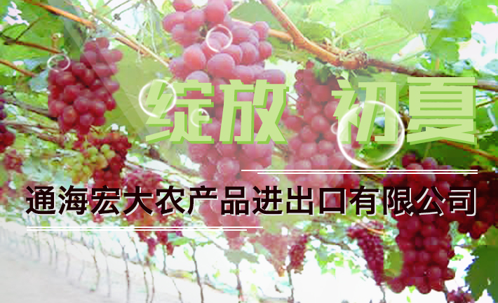 优品展示