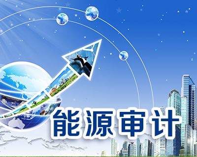 强制能源审计