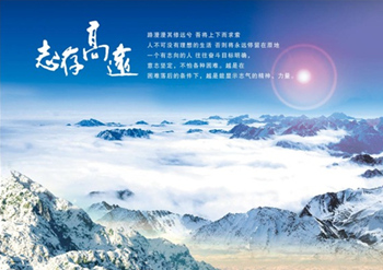 企业简介