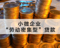 小微企业“劳动密集型”贷款