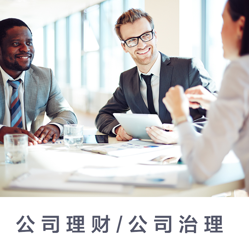 公司理财/公司治理