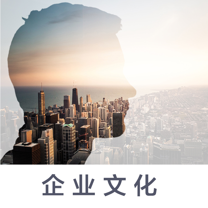 企业文化
