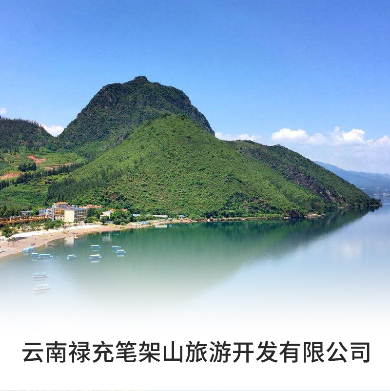 企业logo