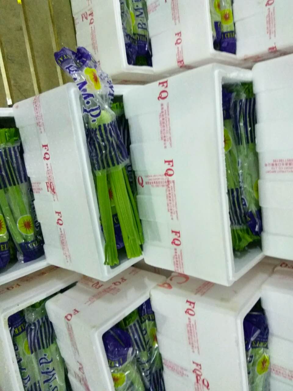 企业简介