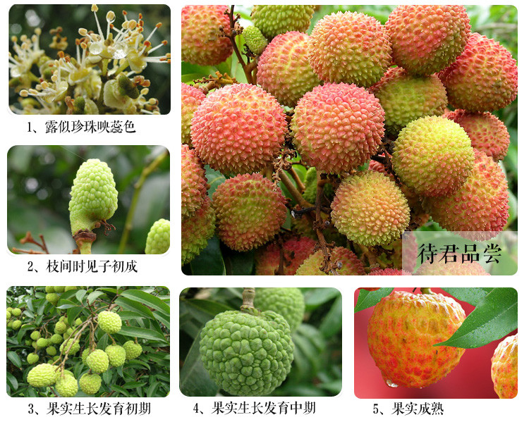 链接