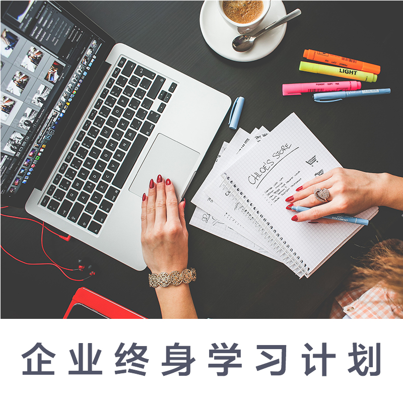 企业终身学习计划