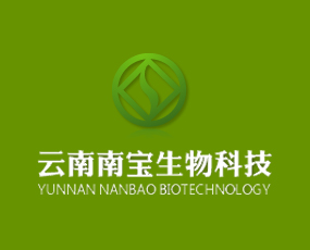 企业简介