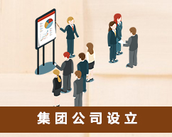 集团公司设立