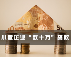 小微企业“双十万”贷款
