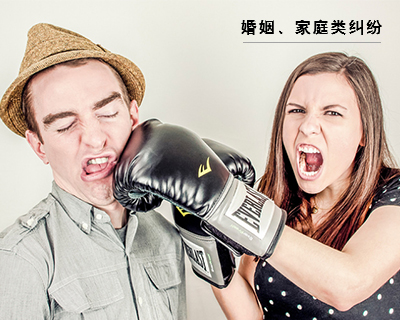 家庭婚姻、继承纠纷