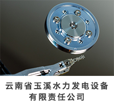 企业简介