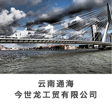 企业简介