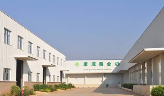 企业简介
