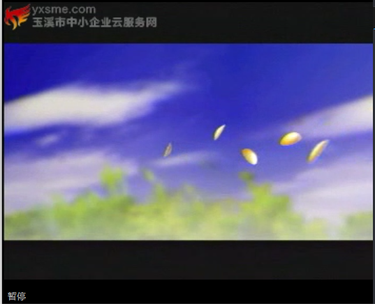 video_img