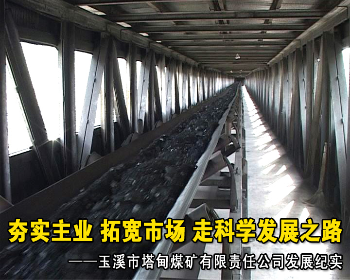企业简介