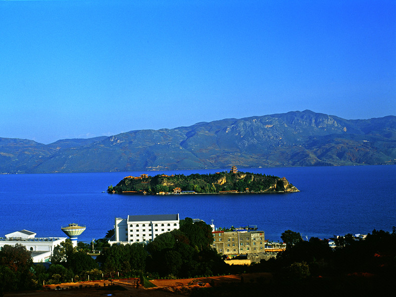 shouba1