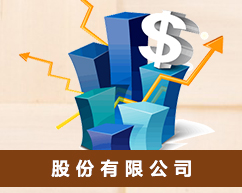 股份有限公司