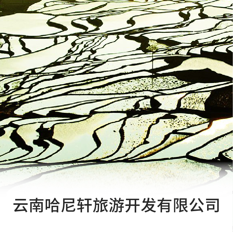 企业logo