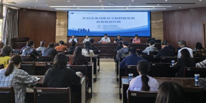 精准解读政策  赋能企业成长 ——玉溪市举办扶持企业高质量专精特新发展政策解读培训